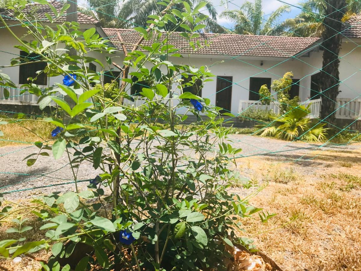 Готель Palm Garden House Quang Tri Екстер'єр фото