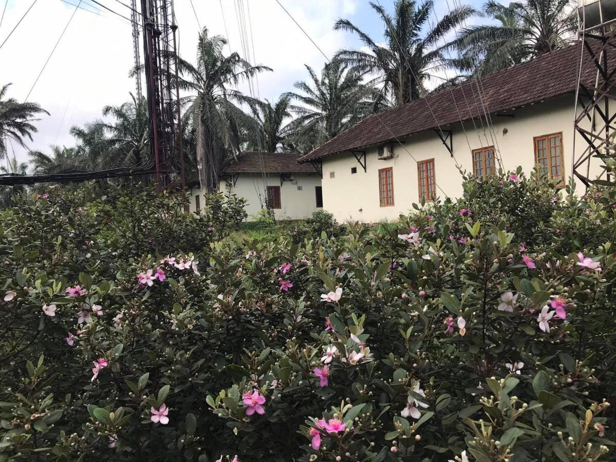 Готель Palm Garden House Quang Tri Екстер'єр фото