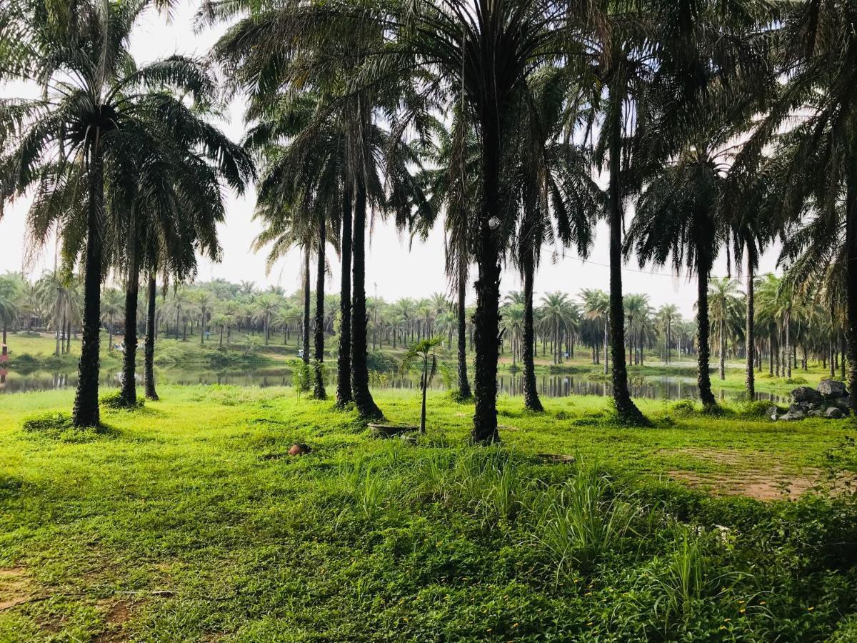 Готель Palm Garden House Quang Tri Екстер'єр фото